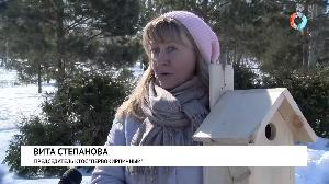 Возвращение домой