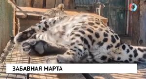 НОВОСТИ 26.08.2026