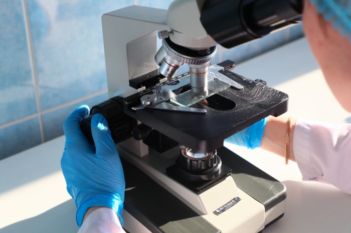 В образце рыбы специалисты обнаружили патогенную бактерию