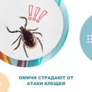 Клещи покусали уже 3307 омичей, 934 из них – дети