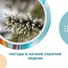 Погода в начале рабочей недели