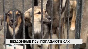 Новости "РБК-Омск" от 11.11.2019