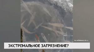 Новости "РБК-Омск" от 11.02.2020