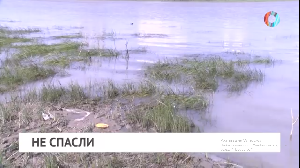 Новости от 17.06.2024