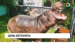 Новости от 02.07.2025