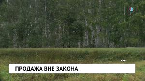 Продажа вне закона