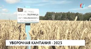 Уборочная кампания – 2023