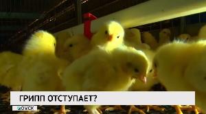 Новости «РБК-Омск» от 01.10.2020