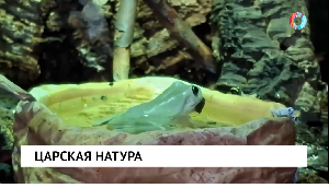 Новости от 01.10.2025