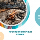 Противопожарный режим