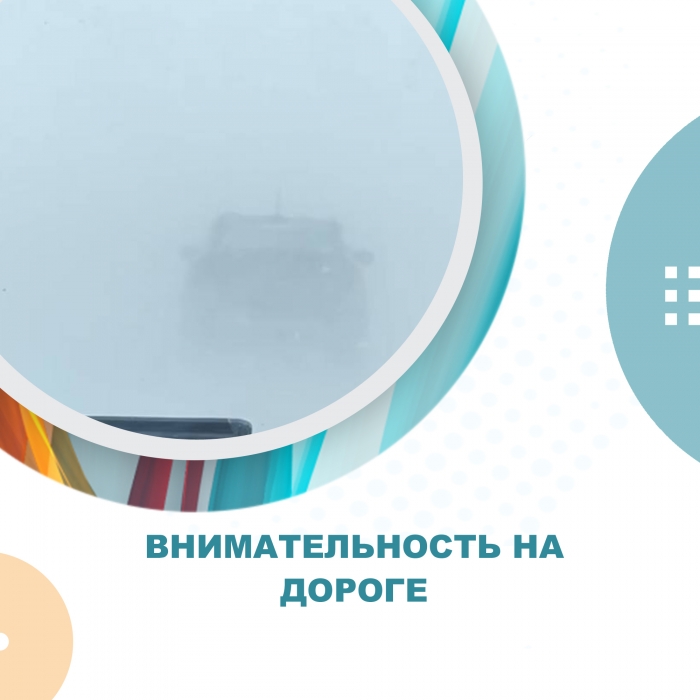 Внимательность на дороге