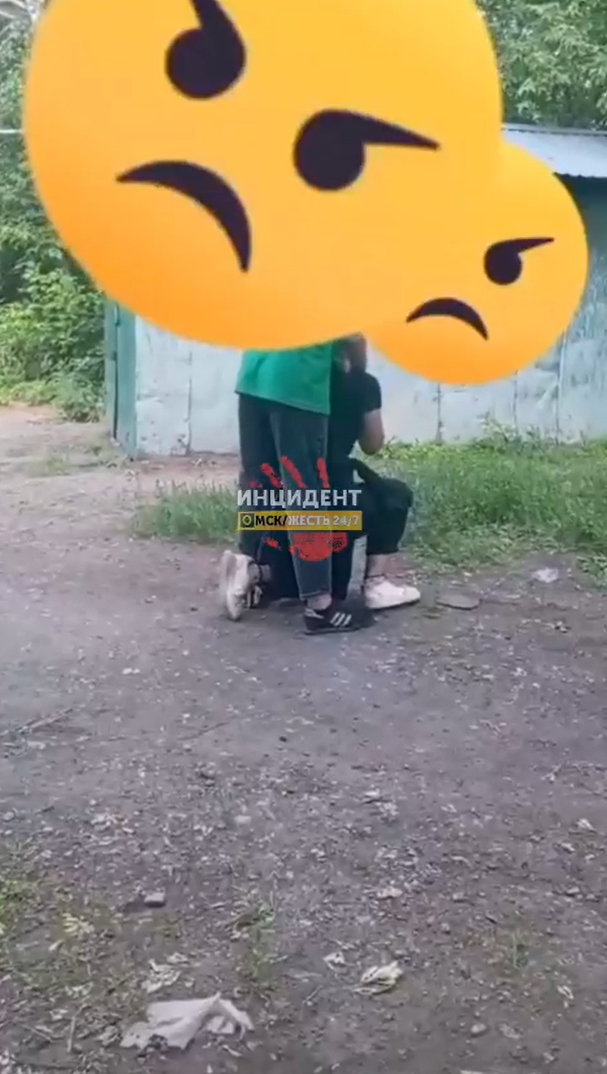 В Омской области школьница избила 14-летнюю девочку