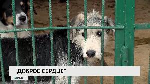 Новости "РБК-Омск" от 27.11.2019 Новости "РБК-Омск" от 27.11.2019