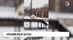 Новости от 09.12.2025 Новости от 09.12.2025