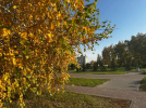 В Омскую область идет долгое бабье лето
