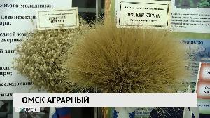 Новости "РБК-Омск" от 29.11.2019