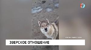 Новости от 16.08.2021