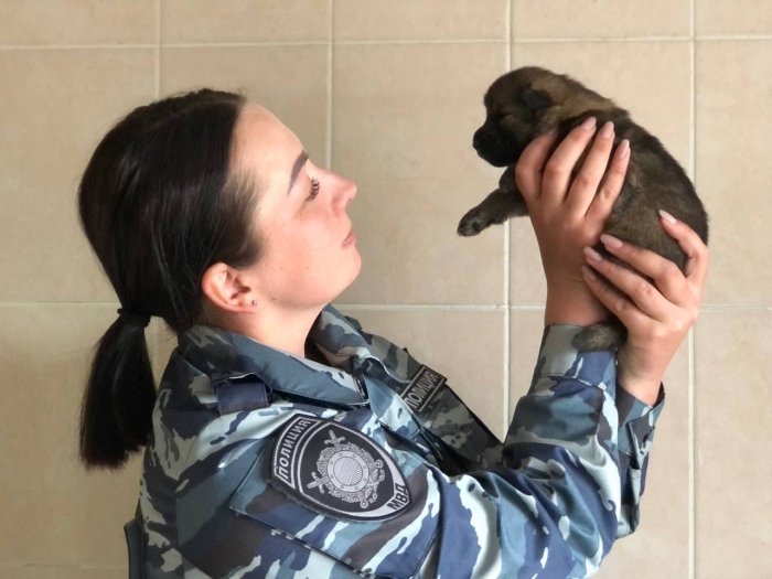 Омичи выбрали клички для будущих лохматых полицейских