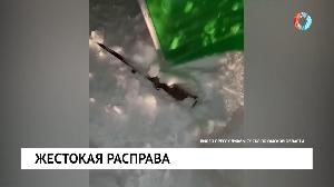 Новости от 24.01.2022