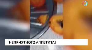 Новости от 20.11.2025