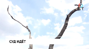 Новости от 31.01.2024