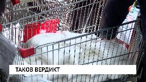 Новости от 21.03.2022