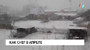 Новости от 22.04.2022