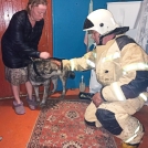 Омские сотрудники МЧС спасли собаку во время пожара