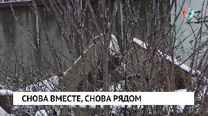 Новости от 14.11.2022