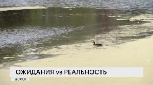 Ожидания VS реальность