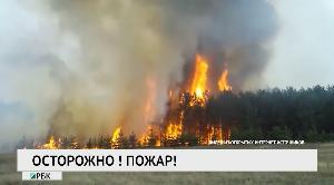 Новости «РБК-Омск» от 14.04.2020