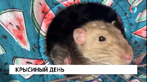 Новости от 04.04.2025