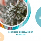 В Омске ожидаются морозы