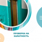 Проверка на халатность