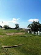 Житель Тюкалинского района украл козу у односельчанки