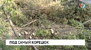 Новости от 04.10.2023