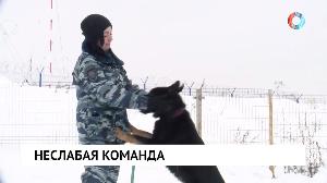 Неслабая команда Неслабая команда