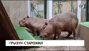 Новости от 06.02.2026