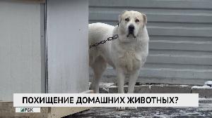 Новости "РБК-Омск" от 23.12.2019