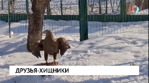 Новости от 13.03.2025