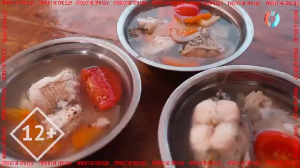 Вкус культуры 28.07.2023