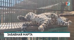 НОВОСТИ 27.08.2026