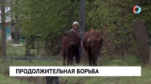 Новости от 15.05.2024