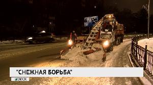 "Снежная борьба"