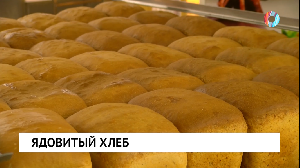 Новости от 26.02.2025