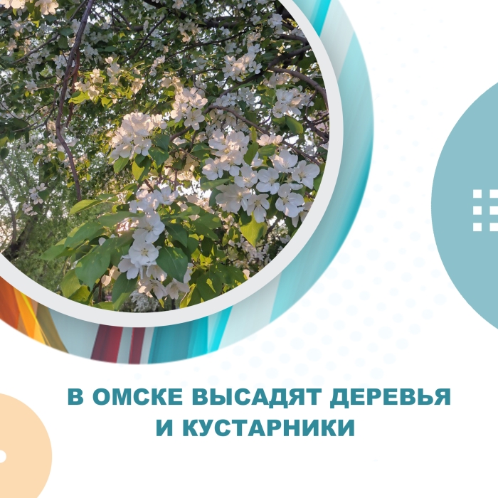 В Омске высадят деревья и кустарники