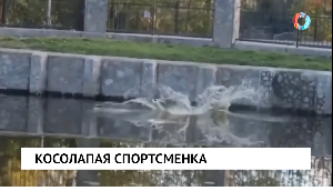 Новости от 25.09.2025