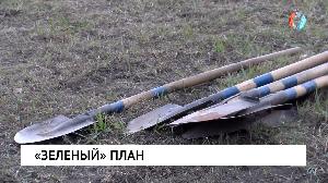 «Зеленый» план
