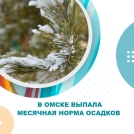 В Омске выпала месячная норма осадков