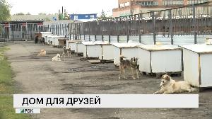 Новости "РБК-Омск" от 13.09.19